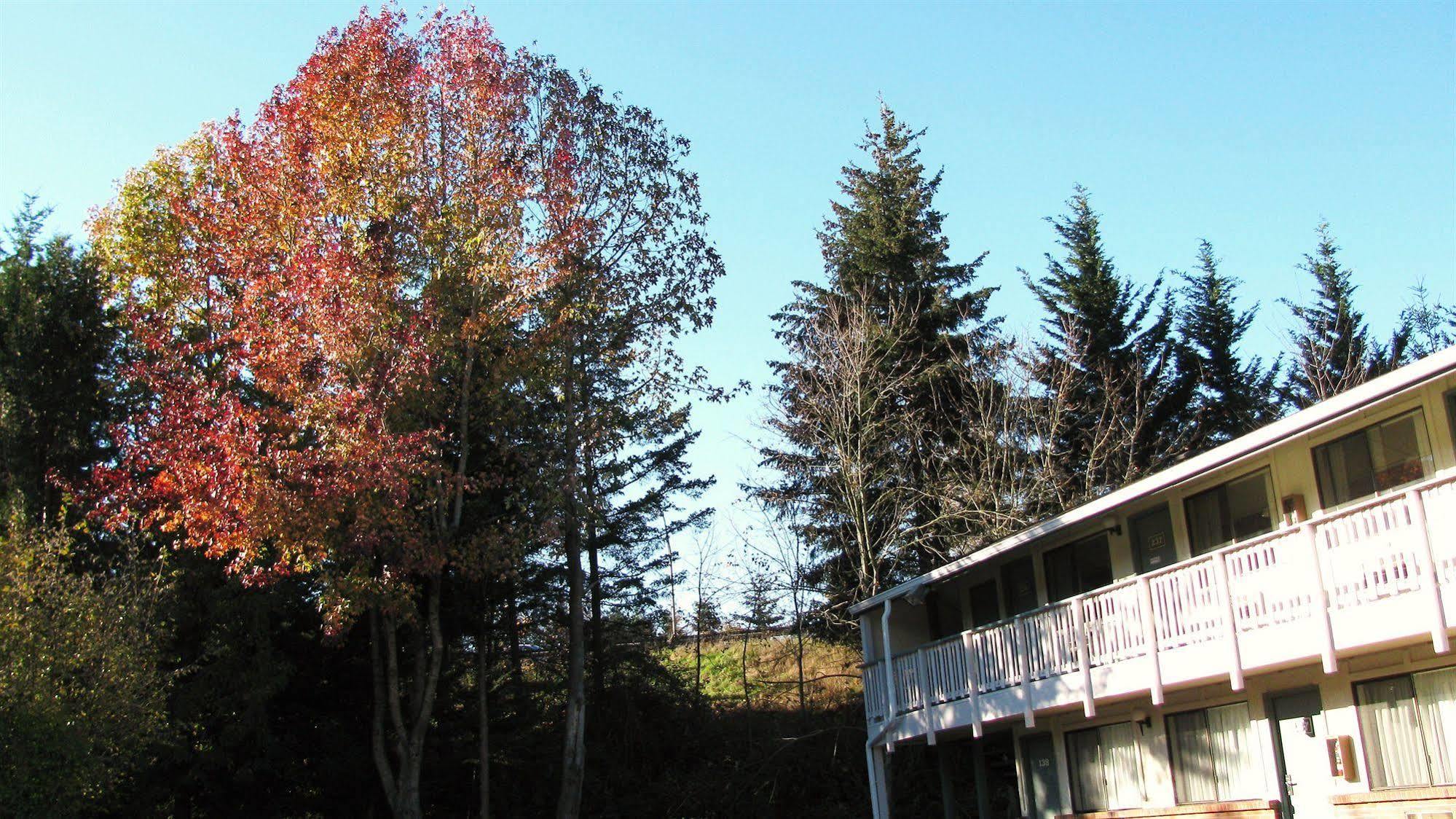 Motel Puyallup Exterior photo